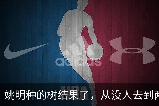姚明种的树结果了，从没人去到两位数留洋，年轻人治好男篮老毛病